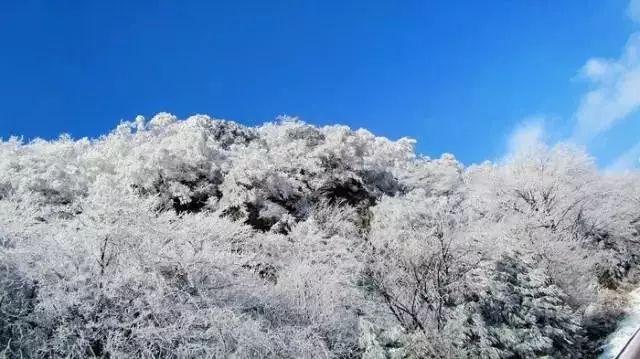 敷怎么读-让你了解世界的红迪网平台